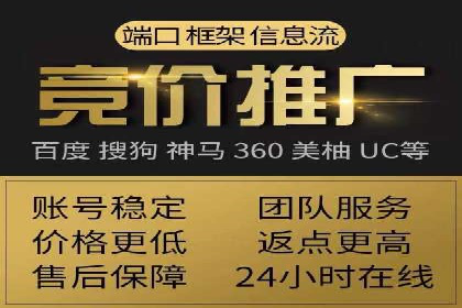 百度SEO推广案例解析与效果评估